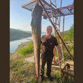 Raport s vode Ranko je bio jači od brke kapitalca teškog 62 kilograma