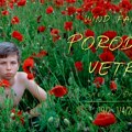 Izložba „Porodica vetra“ reditelja Stefana Đorđevića u Dvorani Kulturnog centra Beograda