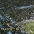 Misterija koja traje 48 godina! Brazil izbačen, Argentina u finalu - Mundijal pod senkom sumnje