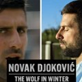 Objavljen trejler za film o Noletu: Dokumentarac o najboljem: "Novak Đoković: Zimski vuk" (video)