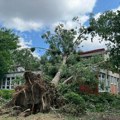 Pokrajinska vlada obezbedila je novac za sanaciju štete od nevremena na objektima Univerziteta u Novom Sadu