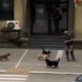 Psi lutalice U Kladovu sve agresivniji: Ovog čoveka je napao čopor, spasao se na lukav način (video)