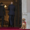 Pas koji je ukrao šou Erdoganu i Micotakisu: Svetskim liderima donosio igračke, od Merkelove ga sakrivali