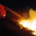 Vatrogasci U borbi sa vatrenom stihijom: Požar izbio na kanalu dtd (video)