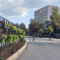 Cveće koje zaklanja pešake. Ko će odgovarati ako dođe do nesreće?