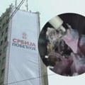 (VIDEO) Ministarka Pavkov: Mladunci bele čiope u Palati "Albanija" su dobro i u sigurnim rukama stručnjaka