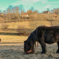 Prvih 10.000 od države stiže već u ponedeljak: Procedura pojednostavljena, evo šta penzioneri treba da donesu