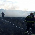 Goreli hektari borove i mešovite šume: Lokalizovan požar u Gornjoj Lopušnji kod Vlasotinca
