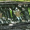 Princ Endru snimljen u automobilu pored Vilijama i Kejt: Fotografija iz Škotske digla buru, svi se pitaju da li je „bludnom…
