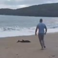 VIDEO: More izbacilo bebu delfina na plažu u Crnoj Gori, meštanin ga vratio u vodu