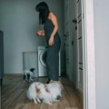 „Obaveštavamo vas da je greh držati kučiće u stanovima“: Poruka koja je zapalila društvene mreže u Srbiji