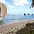 Pronađena najmanja zmija na svetu: Smatralo se da je izumrla pre 20 godina, tanka kao špageta