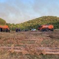 Gori borova šuma na oko 50 hektara kod Niša: Jak vetar otežava gašenje