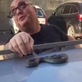 "To toliko smrdi da je to neverovatno" Vladica najsmrdljiviju zmiju u Srbiji uhvatio na krovu automobila u Leskovcu! Jedva je…
