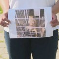 Kreni-promeni: Samo za beogradsku zoohigijenu se izdvaja šest miliona evra iz budžeta, a u mnogim prihvatilištima psi…