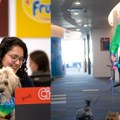 Za 55% zaposlenih pet-friendly kancelarija može biti razlog za promenu posla Dok traje borba za pehar, osveženje mora da bude…