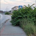 Još jedan dokaz nemara čačanske vlasti