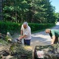 (Foto/video) stabla na Fruškoj gori izmrvljena u čačkalice, divljač napustila lovište, oluja napravila nesagledivu štetu