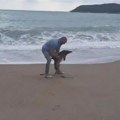 Jak jugo i talasi odvojili delfina od majke: Mladunče sa plaže vraćeno u more