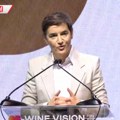 Premijerka Brnabić saopštila lepe vesti Vlada Republike Srbije će nastaviti da podržava sve vinare, vinogradare i rakijaše…