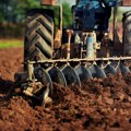 Počinju konkursi za poljoprivrednike: Podsticaji između 20 hiljada i milion evra