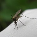 Akcija suzbijanja komaraca na teritoriji Beograda