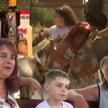 Od jedne krave do farme i jedinstvenog likera od magarećeg mleka: Porodica Luka iz Dubovca se 30 godina bavi stočarstvom…