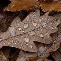 Rhmz objavio kakvo vreme ćemo imati u novembru! Ovo niko nije očekivao za ovo doba godine