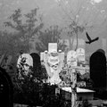 Jedan od najstrašnijih i najbizarnijih običaja: Venčavali pokojnika igrajući kolo na njegovom grobu