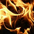 Studenti prikupljaju donacije za područja ugrožena požarima