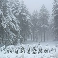 Meteorolog Sovilj: Prestanak padavina sutra popodne, istorijske visine snega u oktobru