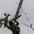 "Poleteo je ka Moskvi": Ukrajinci udarili na srce Rusije, PVO tokom noći oborila 82 drona