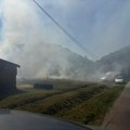 Požar na Fruškoj gori: Ogroman oblak dima širi se iznad polja kod Ležimira, meštani gase vatru kantama, policija na terenu…