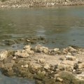 Dunav kod Novog Sada otkrio decenijama skriveno utvrđenje (VIDEO)