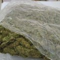 U Pančevu dvojica optužena zbog pokušaja preprodaje marihuane pre dve godine