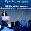 Mesarovićeva: Srpski primeri javno-privatnih partnerstava najbolji primeri u regionu