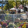U Subotici prava cvetna bašta u srcu grada Na platou Plave fontane „Garden flor" doneo najlepše jesenje boje