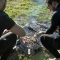 Od krvave borbe za prava radnika do "roštiljijade": Istorija obeležavanja Prvog maja u Srbiji i Evropi