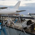 Ispraćen prvi avion sa živom jagnjadi za Alžir, Srbija otvorila novo tržište
