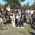 Školsku klupu zamenili jahanjem konja: Đaci iz Zaječara dan proveli na imanju, naučili i kako se muze