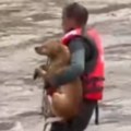 Snimak koji topi srca: Ovako su devojka i mladić spasili pse iz nabujale Nišave, tresli im se u rukama