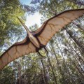 Pronađena je nova vrsta pterosaurusa sa rasponom krila od pet metara