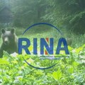 Za 6.000 dinara možete iz "čeke" da posmatrate medveda na Tari, ako se ne pojavi - pola para dobijate nazad: Srpska planina je…