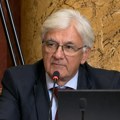 Poslanik Lukić tokom rasprave u Skupštini: Zakon o oružju izgleda kao da su ga pisale žene