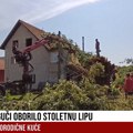 Nevreme slomilo stogodišnju lipu u Guči oštećeni krovovi i putevi: Deca bila zarobljena u zgradi škole tokom oluje (video)