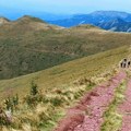 Stazama Stare planine: Akcija uspona na Midžor i tura oko Babinog zuba