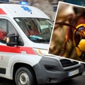 "Osetio sam svrab i samo se srušio" Bojan jedva preživeo ujed stršljena! Ako ga vidite, ovo nikako ne radite