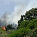 Za požare u južnom delu Italije okrivljeni piromani