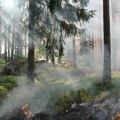 Turisti vatrometom sa jahte izazvali šumski požar na ostrvu Hidra
