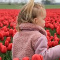 Turska povećala kazne za branje zaštićene vrste Za jednu lalu globa lane bila 8.900 evra, a ove godine čak 13.000